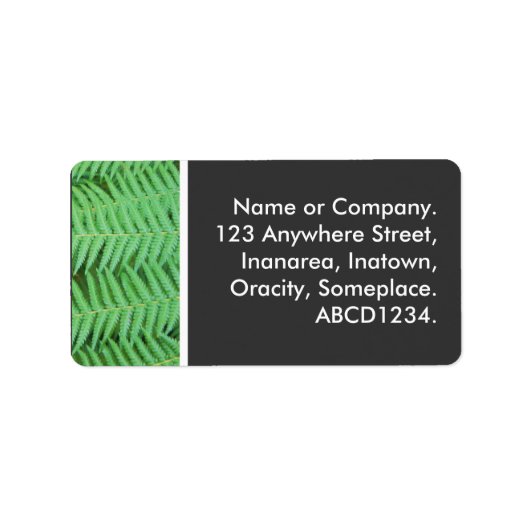 シダ ラベル (正面)