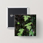 シダ –  缶バッジ (正面&裏面)