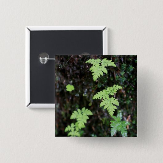 シダ –  缶バッジ (正面&裏面)