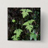 シダ –  缶バッジ (正面)