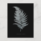 シダ – Gymnogramma Ochracea - X線効果 – 02 ポストカード (正面)