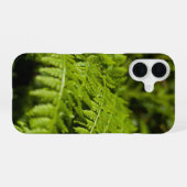 シダ iPhone 16ケース (裏面横)