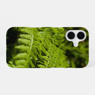 シダ iPhone 16ケース