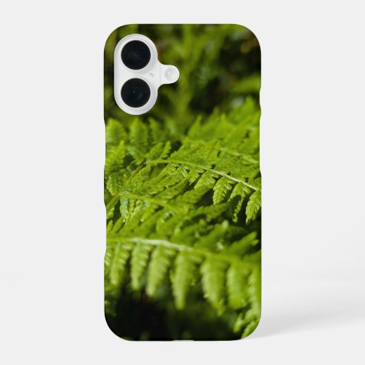 シダ iPhone 16ケース (裏面)