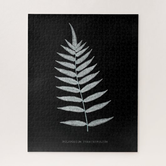 シダ - Polypodyum Fraxinifolium - X線効果 -08 ジグソーパズル (縦)