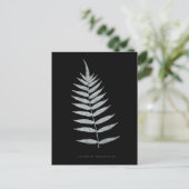 シダ – Polypodyum Fraxinifolium - X線効果–08 ポストカード (スタンド正面)