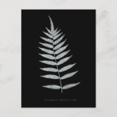 シダ – Polypodyum Fraxinifolium - X線効果–08 ポストカード (正面)