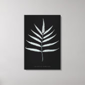 シダ - Polypodyum Grandidens - X線効果 - 10 キャンバスプリント (正面)