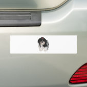 シチズ シー・ズー 子犬 バンパーステッカー (車上)