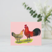 シチリアバターカップチキン ポストカード (スタンド正面)