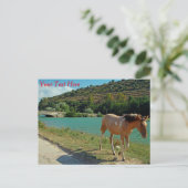 シチリア馬のカスタマイズ可能はがき ポストカード (スタンド正面)