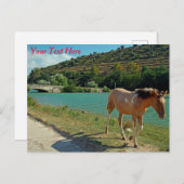 シチリア馬のカスタマイズ可能はがき ポストカード (正面/裏面)