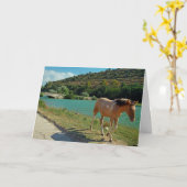 シチリア馬 カード (黄色い花)