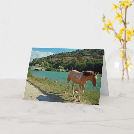 シチリア馬 カード (黄色い花)