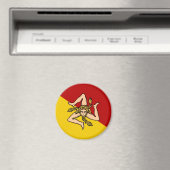 シチリア マグネット (インサイチュ (食洗機))