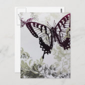 シックで鮮やかなカラフルの夏の蝶 ポストカード (正面/裏面)