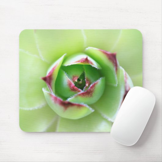 シックとヘン美しい柔らかい緑の多肉植物 マウスパッド (マウス)
