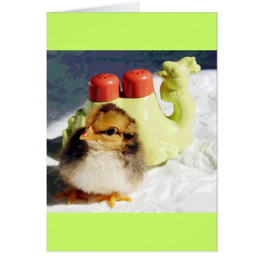 シックとラクダ (正面)