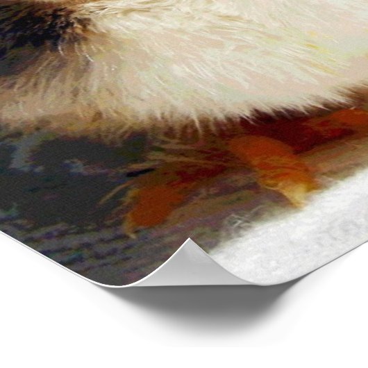 シックとラクダ ポスター (角)