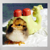 シックとラクダ ポスター (正面)