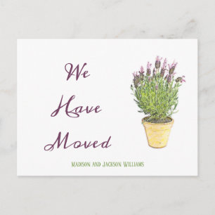 シックなアドレス変更  お知らせ ポストカード