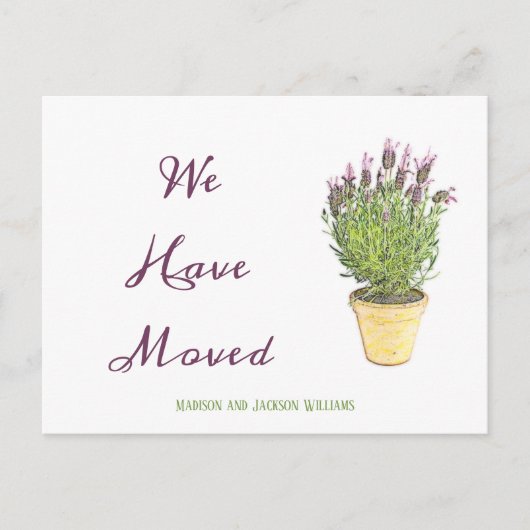 シックなアドレス変更 |お知らせ ポストカード (正面)