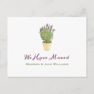 シックなアドレス変更  お知らせ ポストカード