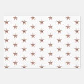 シックなクリスマスメタリックバラ金ゴールドスター ラッピングペーパーシート (正面3)