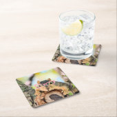 シックなリス スクエアペーパーコースター (インサイチュ)