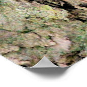 シックなリス ポスター (角)