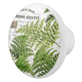 シックなヴィンテージシダフランスのとドキュメントスクリプトノブ セラミックノブ (右)