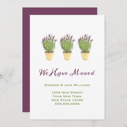 シックな動きのお知らせ |ラベンダーを移動 案内状 (正面/裏面)