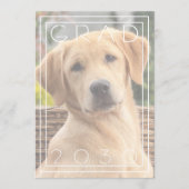 シックな子犬のスクールゴールドフォイル卒業 案内状 (正面)