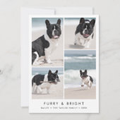 シックな毛皮と明るい新しい子犬の写真のクリスマス シーズンカード (正面)