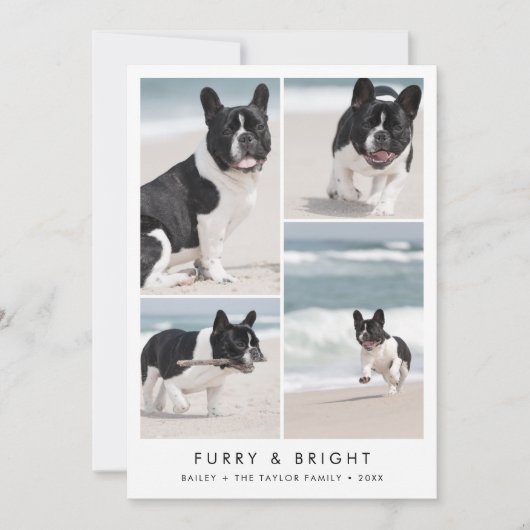 シックな毛皮と明るい新しい子犬の写真のクリスマス シーズンカード (正面)