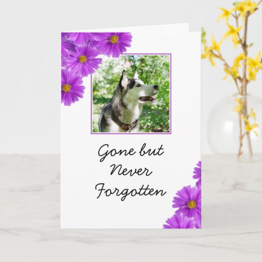 シックな紫色の花ペットフォト悔やみや弔慰 カード (黄色い花)