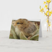 シックウィード カード (黄色い花)