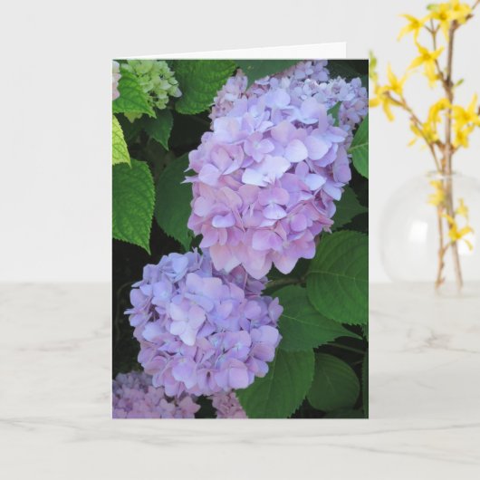シックエレガントパープルアジサイ写真悔やみや弔慰 カード (黄色い花)