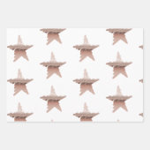 シッククリスマスメタリックバラ金ゴールドスターホワイト ラッピングペーパーシート (正面2)