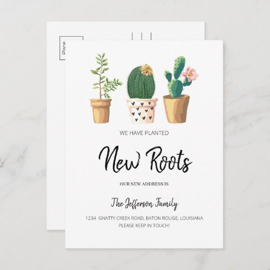 シックサボテンが植えられ、新しい根が動く 案内ポストカード (正面/裏面)