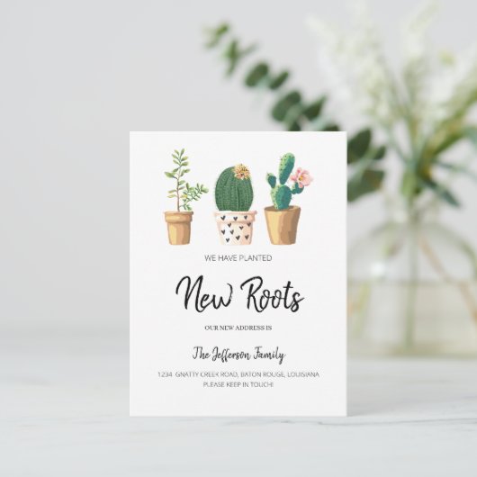 シックサボテンが植えられ、新しい根が動く 案内ポストカード (スタンド正面)