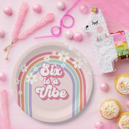 シックスはヴィーベレインボーピンク第6誕生日 ペーパープレート (パーティー)