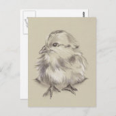 シックスケッチ白黒オンタウペ ポストカード (正面/裏面)