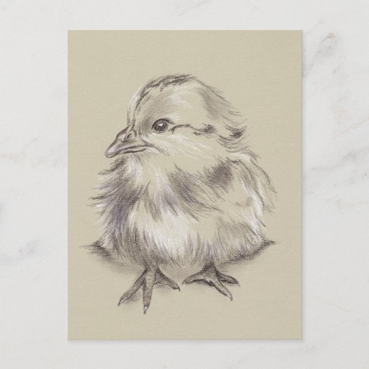 シックスケッチ白黒オンタウペ ポストカード (正面)