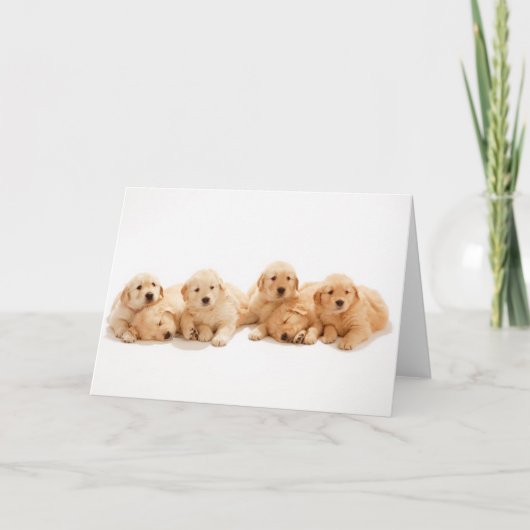 シックスゴールデンリトリーバー子犬たち カード (正面)