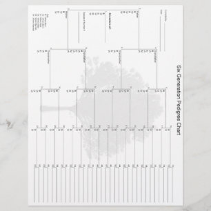 シックスジェネレーションペディグリー紙