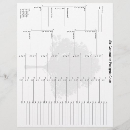 シックスジェネレーションペディグリー紙 (正面)