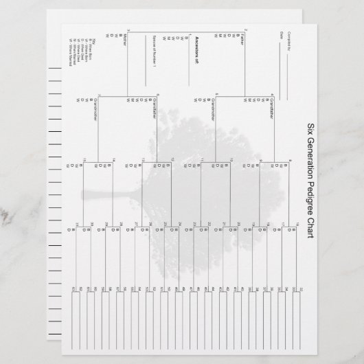 シックスジェネレーションペディグリー紙 (正面/裏面)