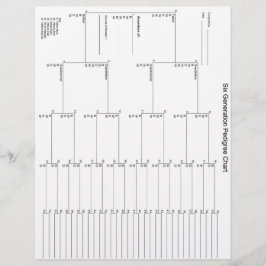 シックスジェネレーションペディグリー紙