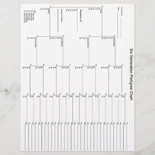 シックスジェネレーションペディグリー紙